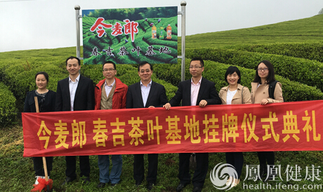 今麦郎建立云贵茶基地 健康好茶的秘密