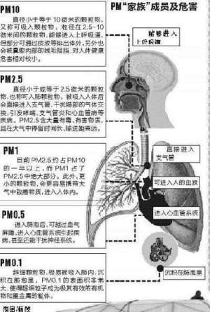 社科院气象局发报告：雾霾会影响生殖能力(图)