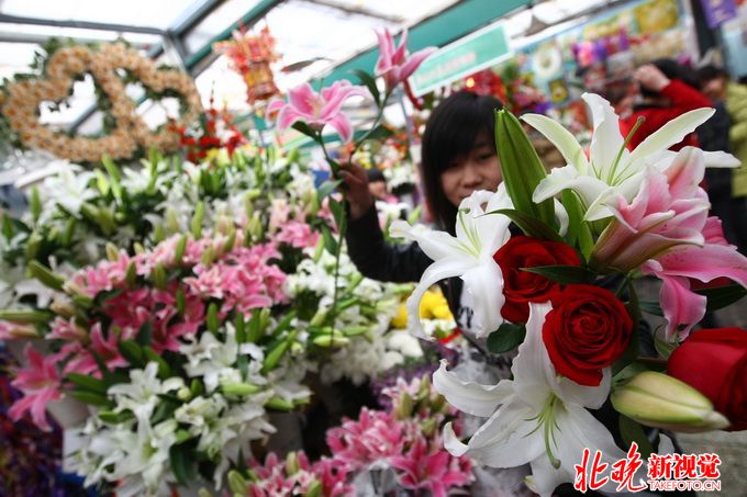 情人节送女友什么花合适 别送错！这些花都有什么含义？