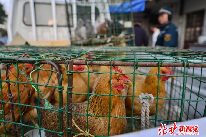 北京第二例h7n9 目前该患者病情较重日常生活我们要如何防范