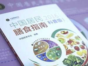 2016版中国居民膳食指南有何变化？凤凰独家专访指南起草人