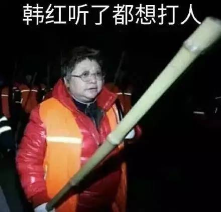 天天向上韩红听了都想打人是哪张照片 韩红表情包图集背后故事