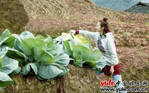 景甜公益真人秀《我想见到你》亲和满分 扛白菜开三轮接地气