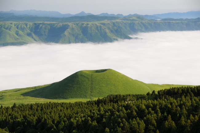 农村10年没干过的鱼塘抽掉水后竟都是这东